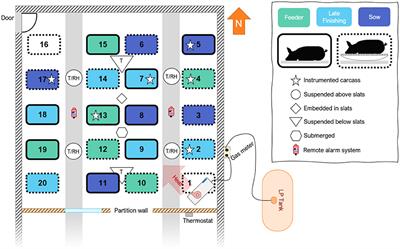 Characterization of in-barn heat processed swine mortalities